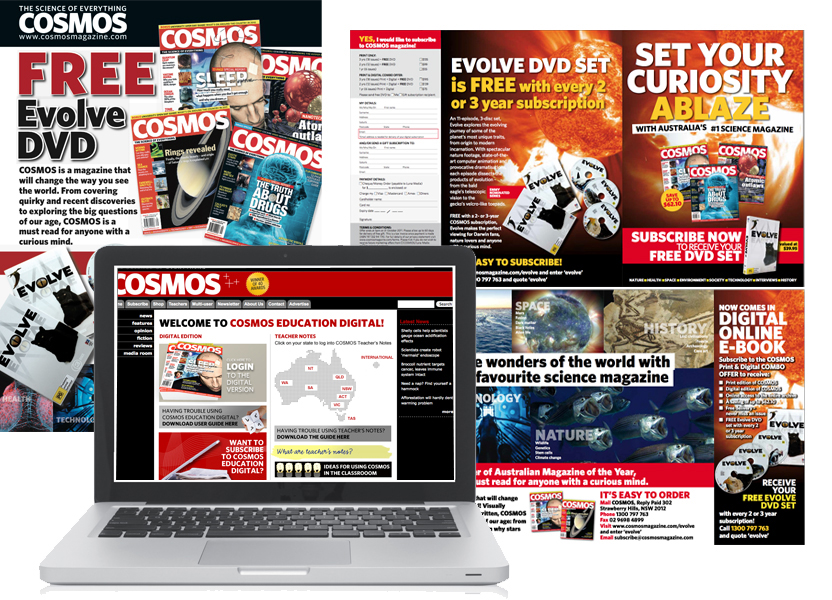 Online and print marketing collateral